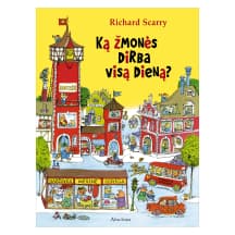 Knyga KĄ ŽMONĖS DIRBA VISĄ DIENĄ