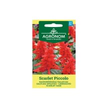Sėklos AGRONOM Šalavijai Scarlet Piccolo