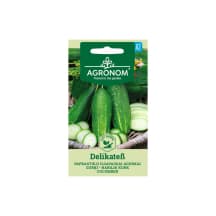 Sėklos AGRONOM Agurkai ilgavaisiai Delikates