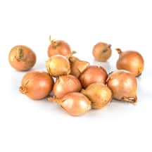 Svog. SHALLOT RED SUN sodinukai, 300 g