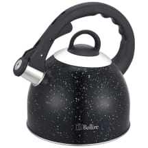 Arbatinukas BOLLIRE BR-3009, 2.5 l