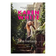 Knyga PO LIETAUS