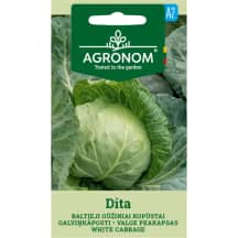 Kopūstai Dita