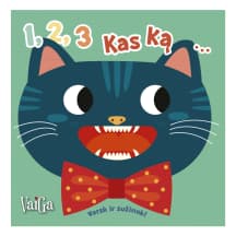 Knyga 1,2,3 KAS KĄ...PRARIS! VERSK IR SUŽINOK