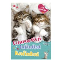 Knyga GAURUOTIEJI BIČIULIAI. KAČIUKAI