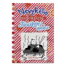 Knyga NEVYKĖLIO DIENORAŠTIS 19