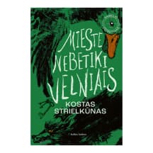 Knyga MIESTE NEBETIKI VELNIAIS