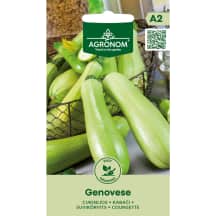 Cukinijos GENOVESE