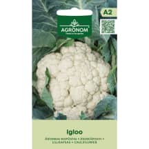 Žiediniai kopūstai IGLOO