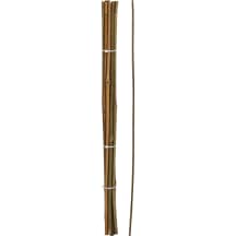 Augalų pagaliukai, 10 vnt., SG26, 60 cm