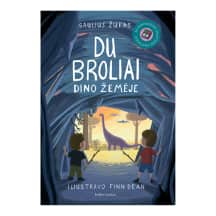 Knyga DU BROLIAI. DINO ŽEMĖJE