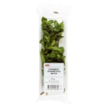 Mėtos RIMI, 20 g