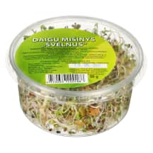Daigų mišinys ŠVELNUS, 50 g