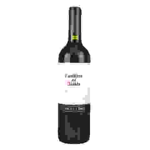 Raud. sausas vynas CASILLERO MERLOT, 0,75l