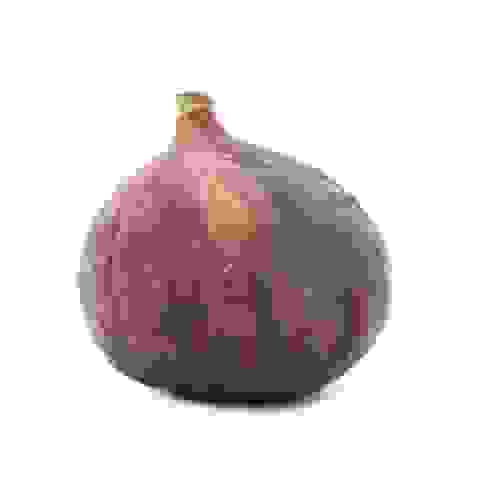Vīģes, gab
