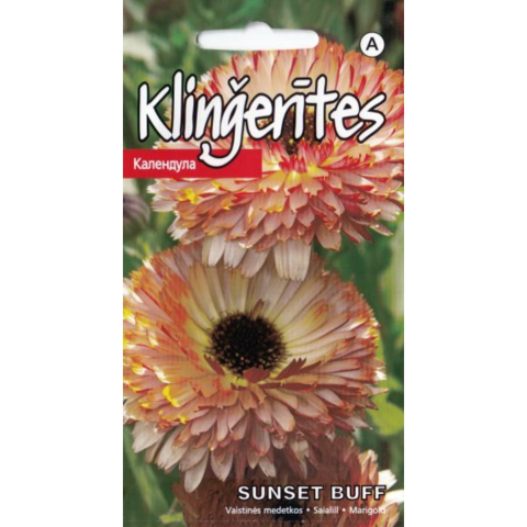 Medetkos SUNSET BUFF KURZEMES SEKLAS