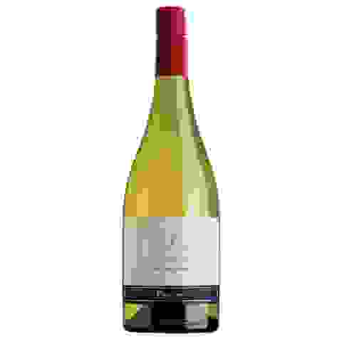 B.v. San Pedro 1865 Sauvig. Blanc 13,5% 0,75l