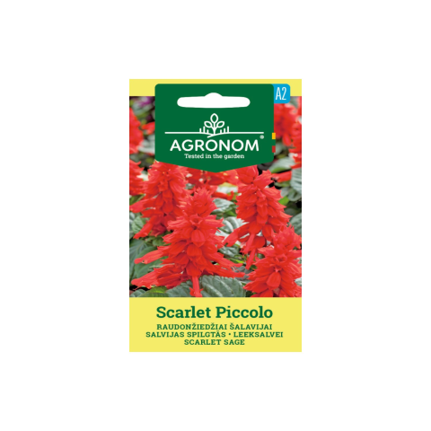 Sėklos AGRONOM Šalavijai Scarlet Piccolo