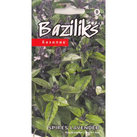 Baziliks Spires Lavender Kurzemes Sēklas