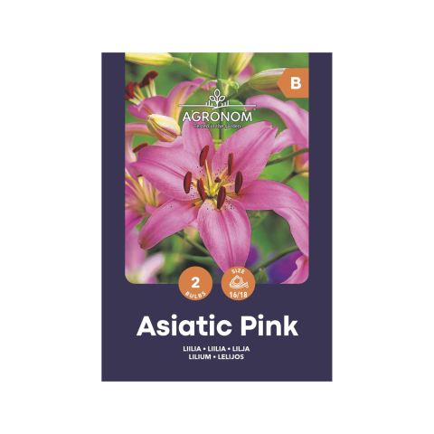 Gėlių sėklos AGRONOM LILIUM PINK