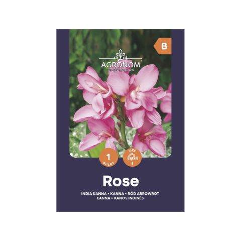 Gėlių sėklos AGRONOM CANNA ROSE