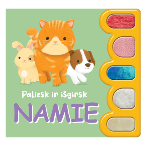 Knyga PALIESK IR IŠGIRSK. NAMIE