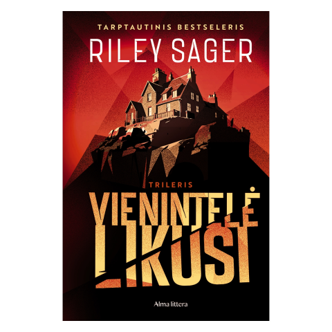 Knyga VIENINTELĖ LIKUSI