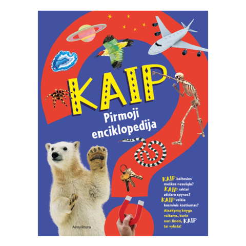 Knyga PIRMOJI ENCIKLOPEDIJA. KAIP?