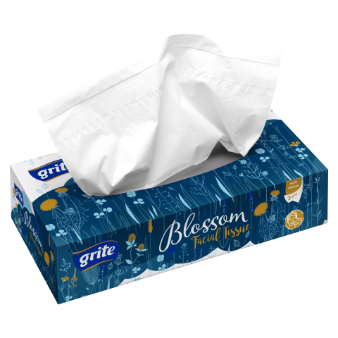 Kosmet. servet. GRITE BLOSSOM, 2 sl., 80 vnt.
