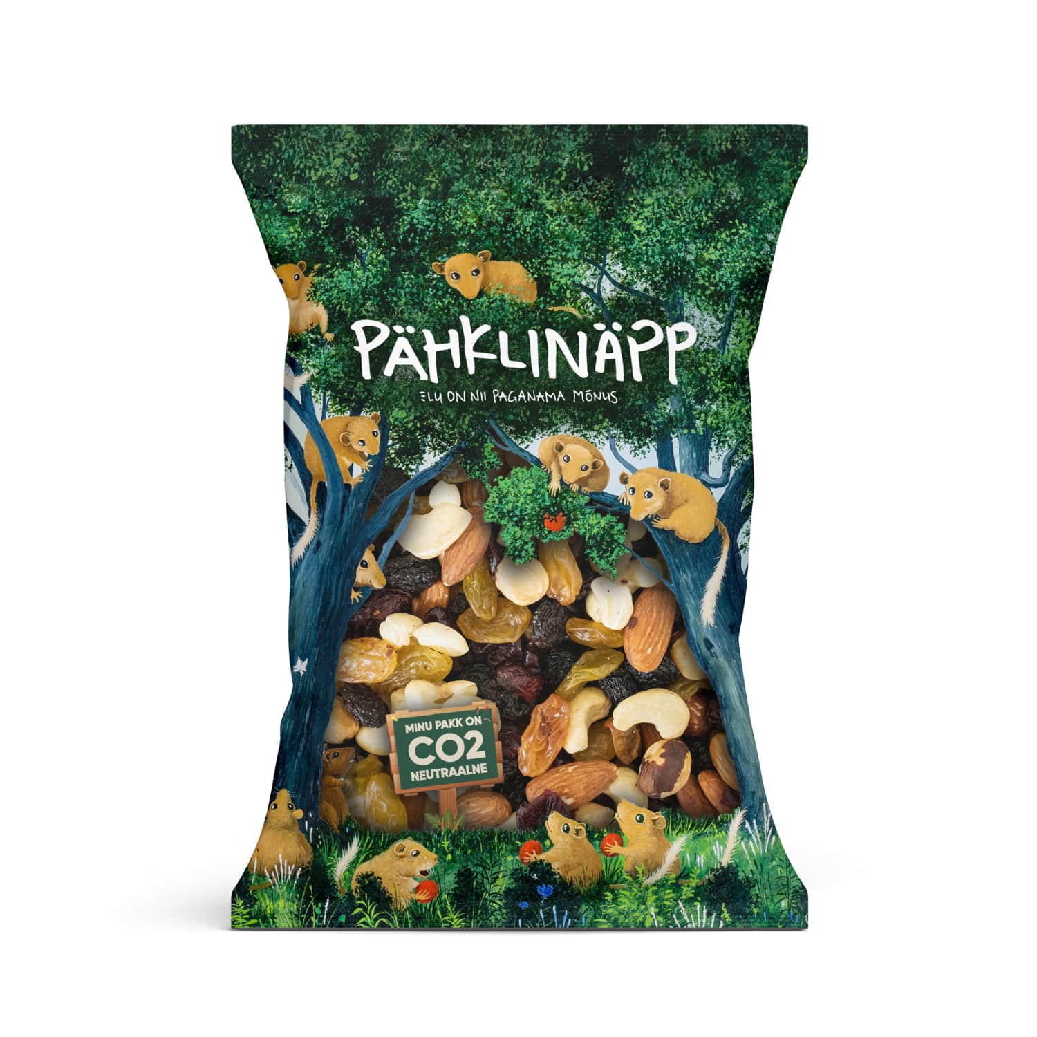 Pähklite ja puuviljade segu Pähklinäpp 500g