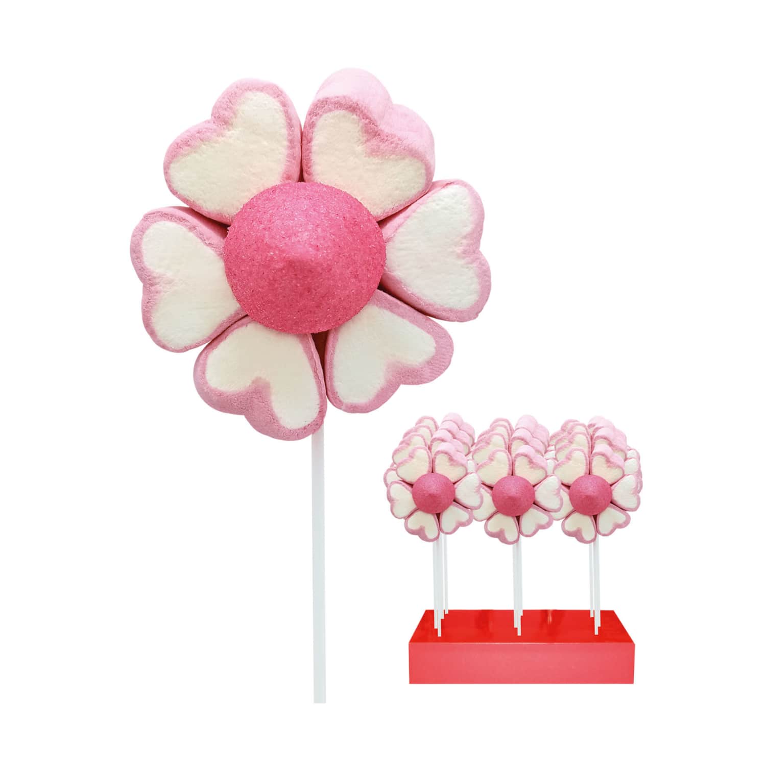 Zefyrinė gėlė, 50 g