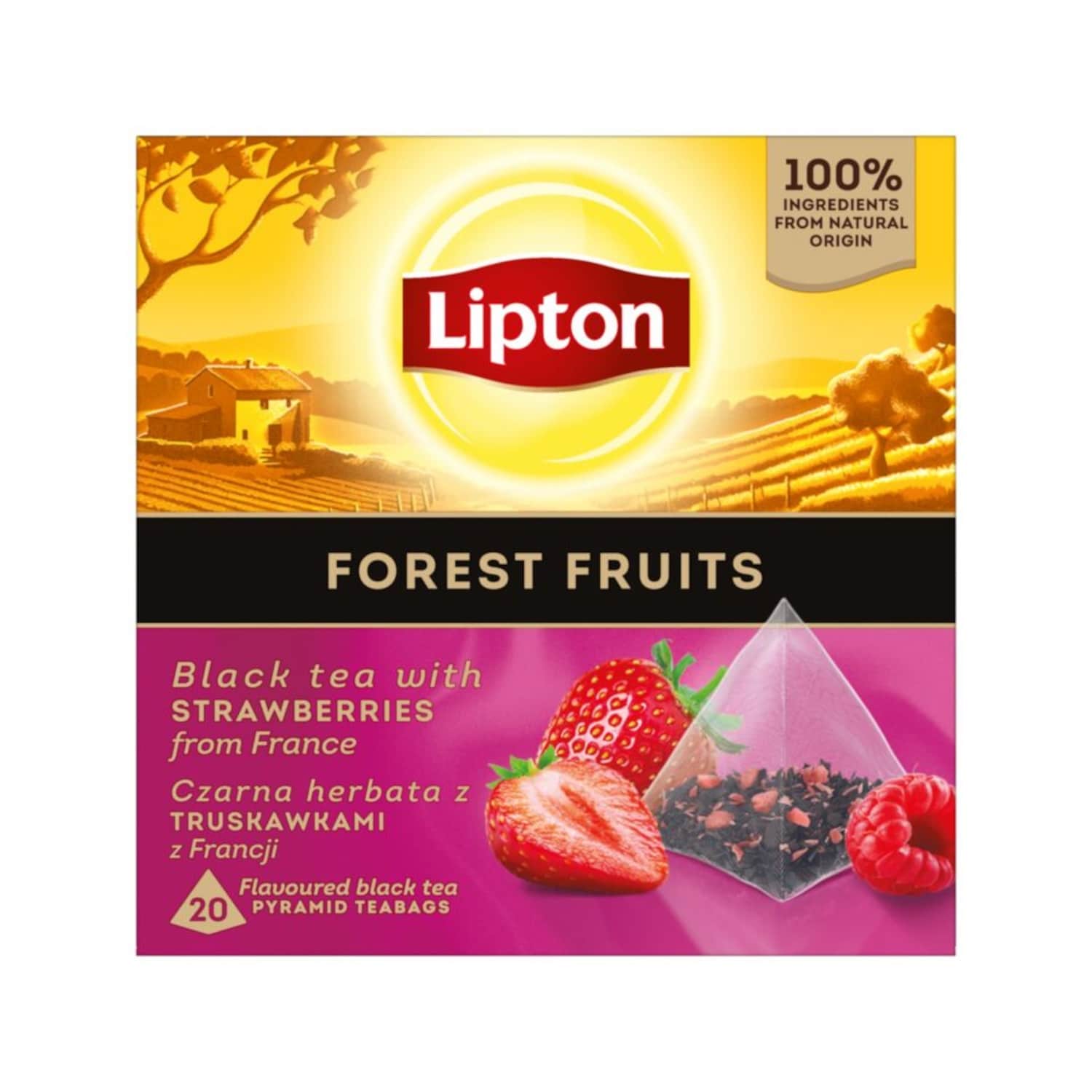 Melnā tēja Lipton ar meža ogām 34g