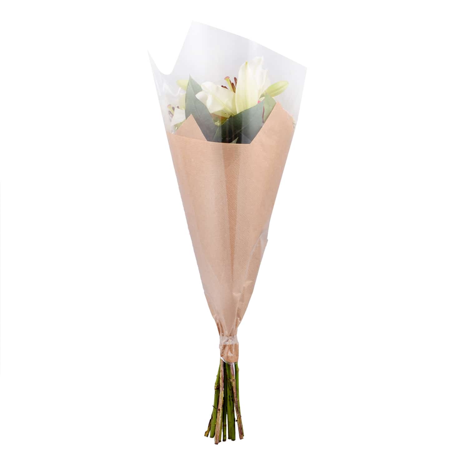 Liilia 50cm, 1 vars