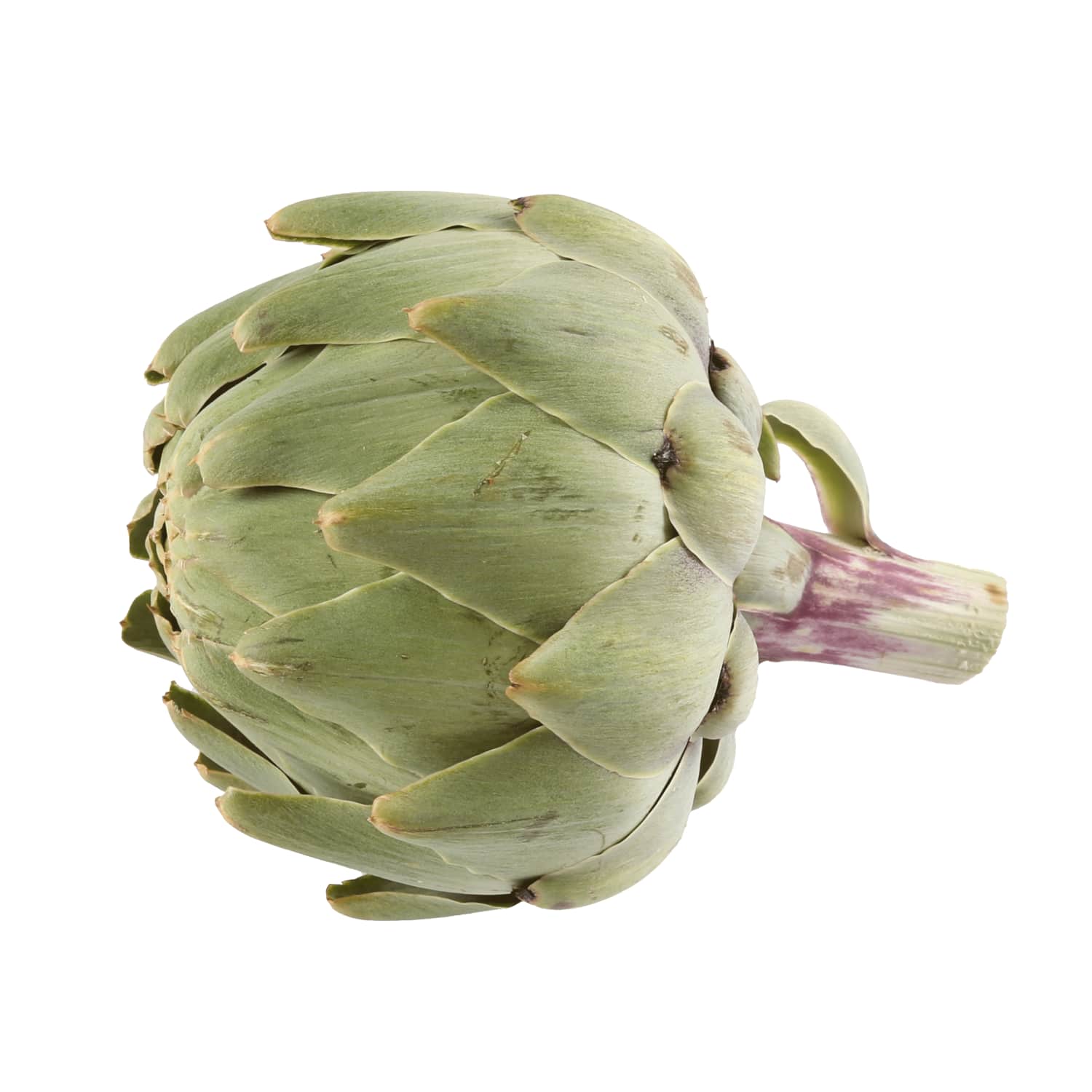 Artišoki kg