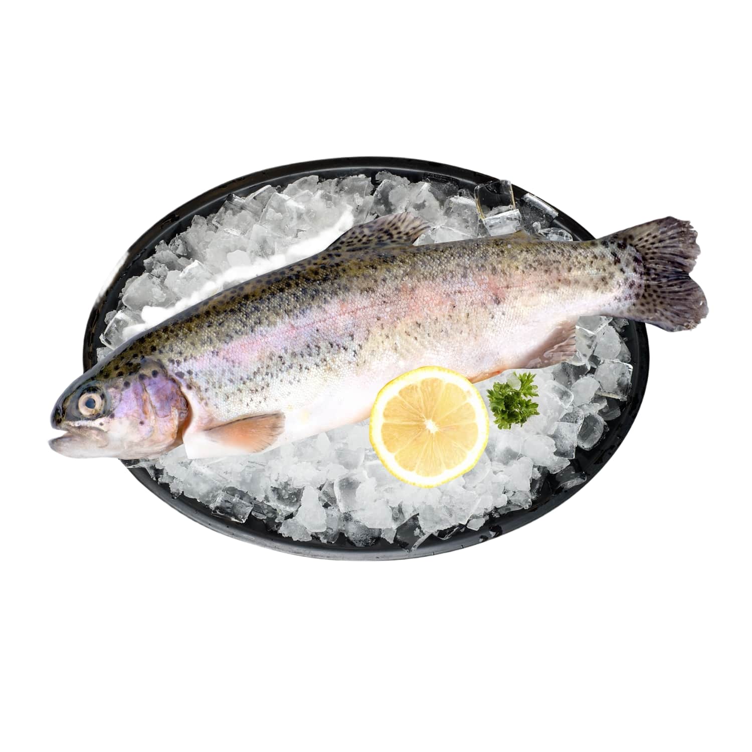 Vikerforell jahutatud roogitud, kg