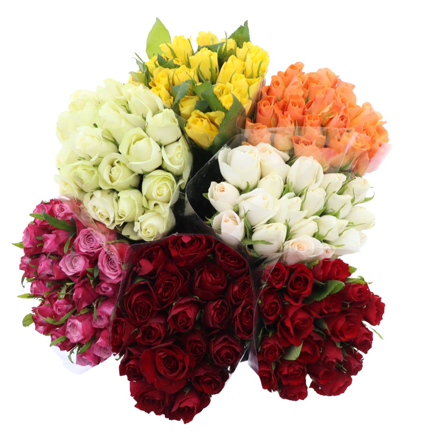 Rožių puokštė 40cm 21vnt