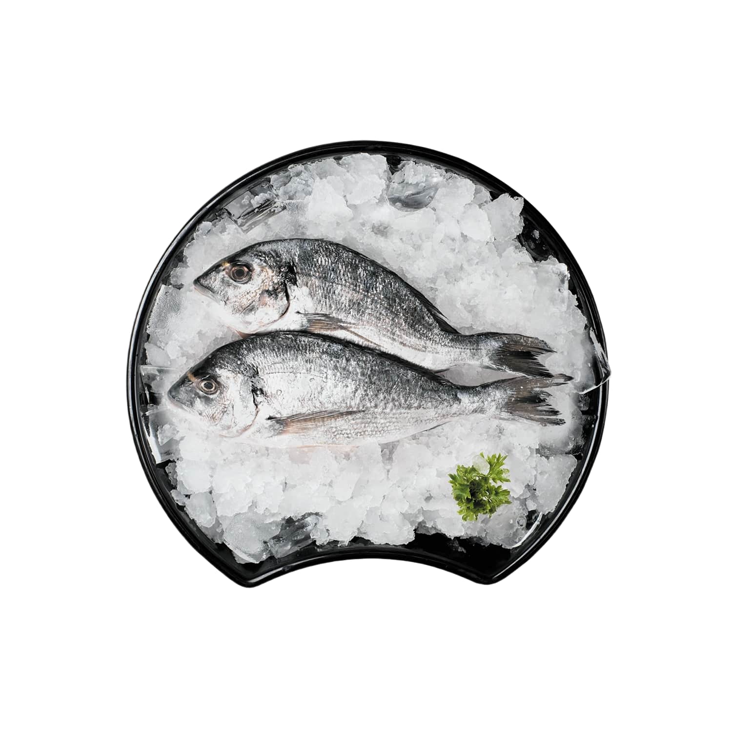 Kuldmerikoger jahutatud