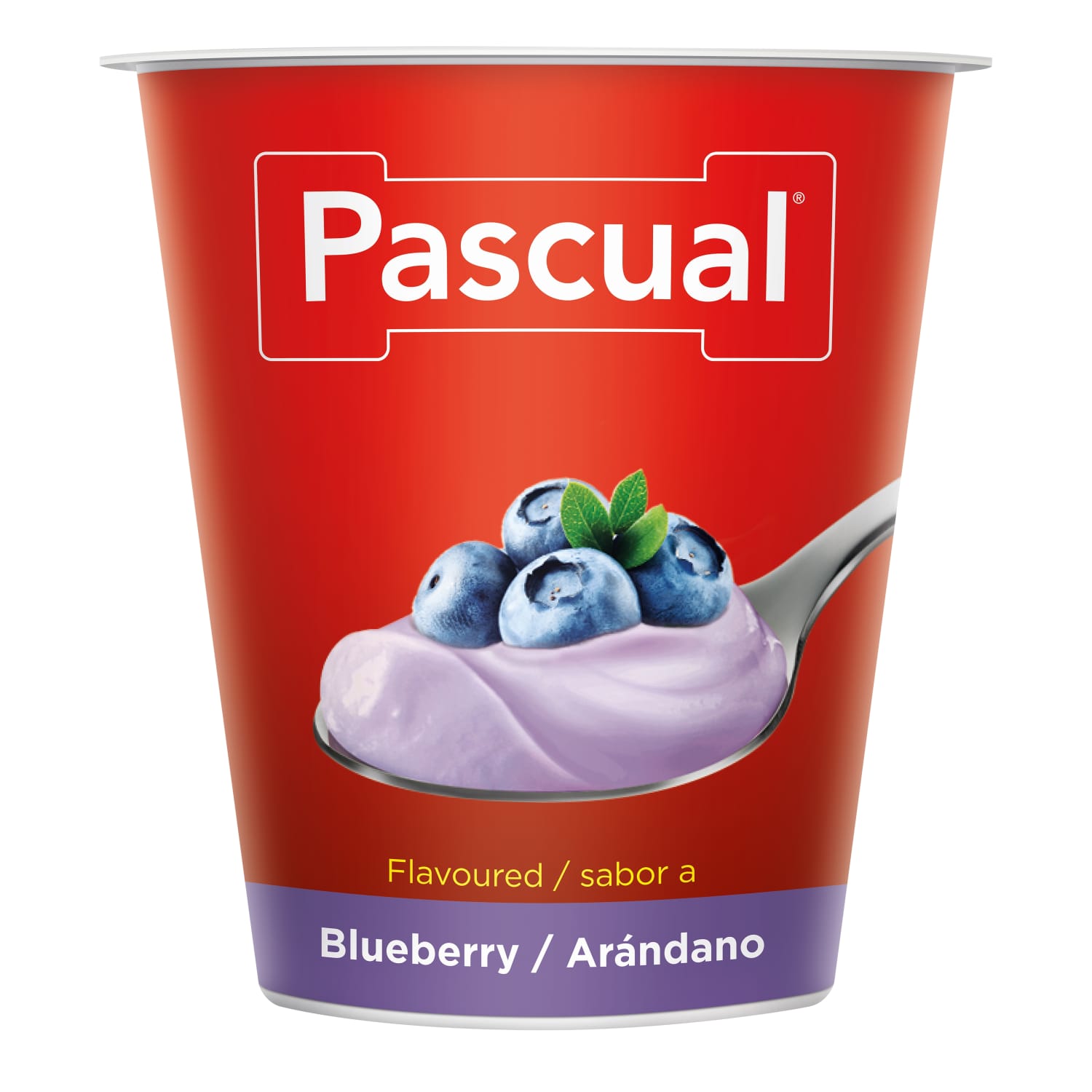 Jogurts Pascual ar melleņu garšu 125g