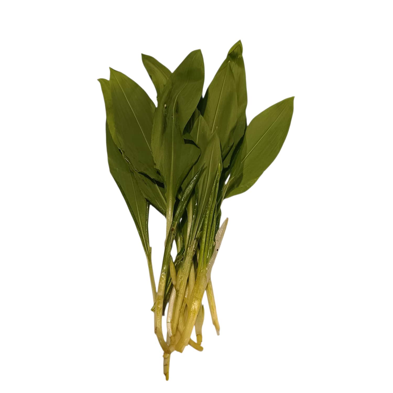 Karulauk 100g