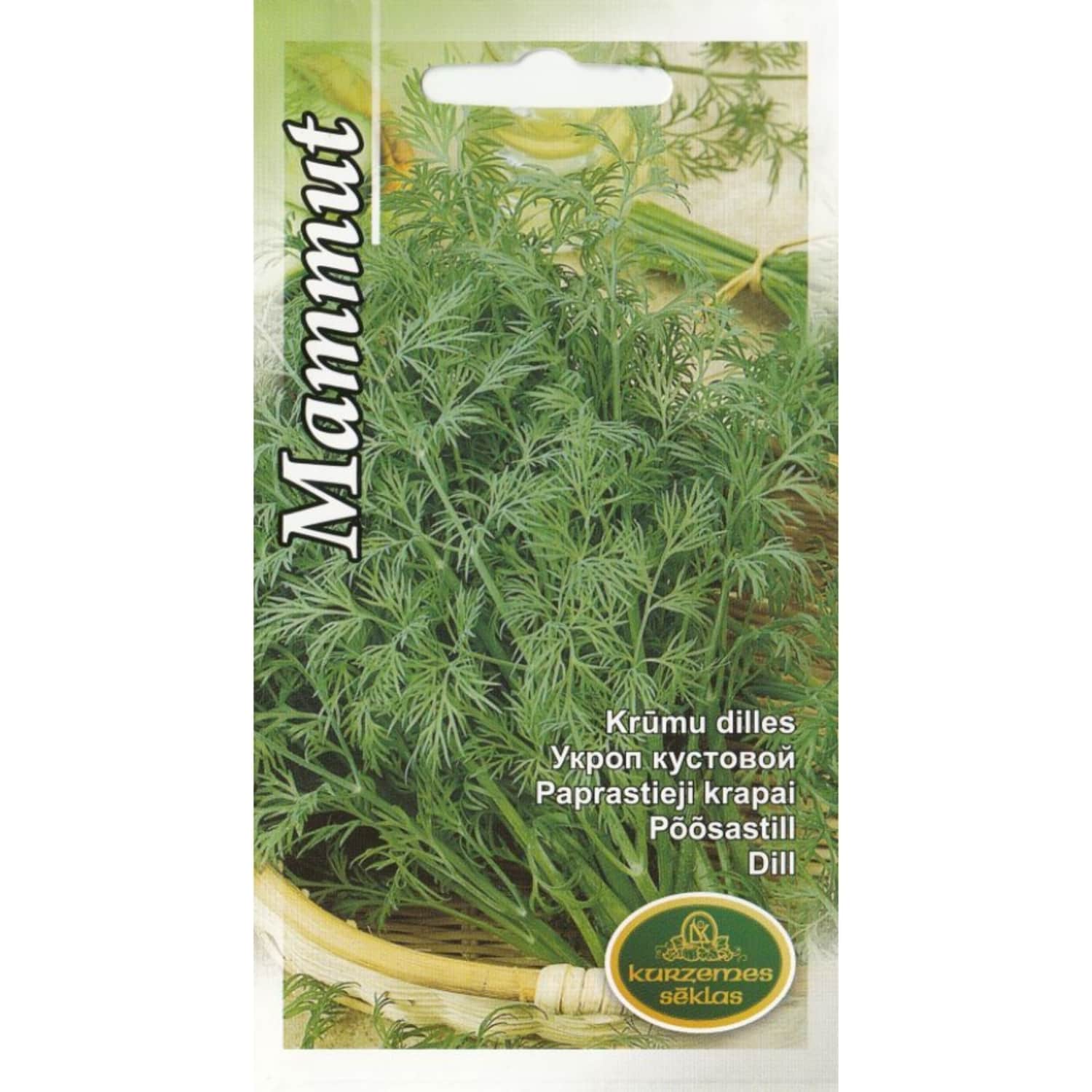 Dilles Mammut Kurzemes Sēklas