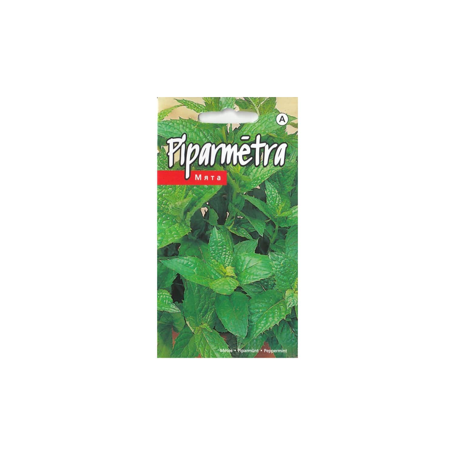 Piparmētra Kurzemes Sēklas
