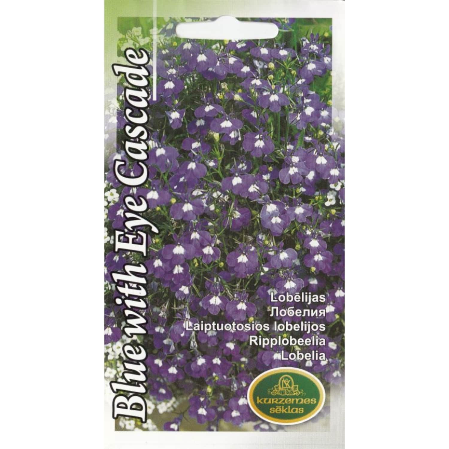 Lobēlijas Blue Kurzemes Sēklas