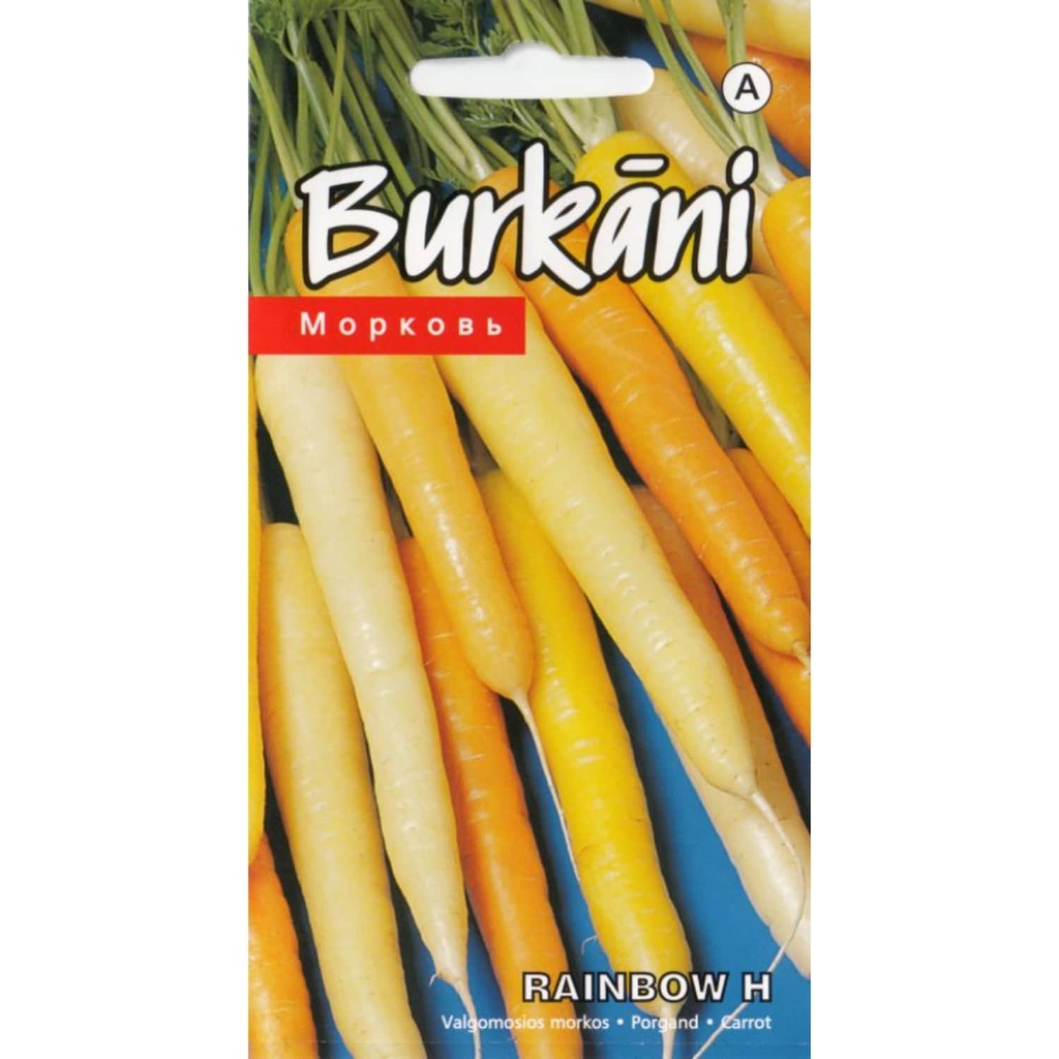 Burkāni Rainbow H Kurzemes Sēklas