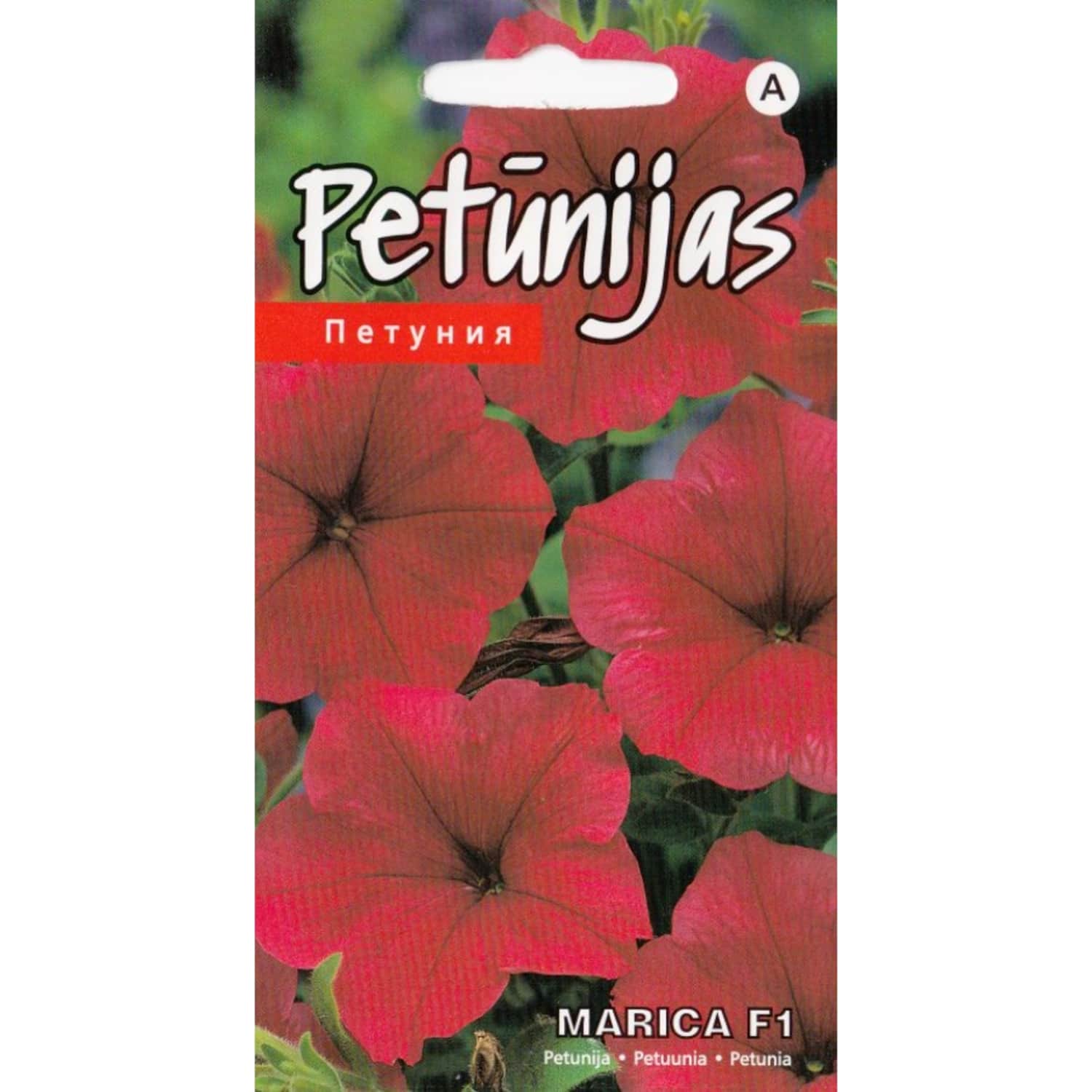 Petūnijas Marica F1