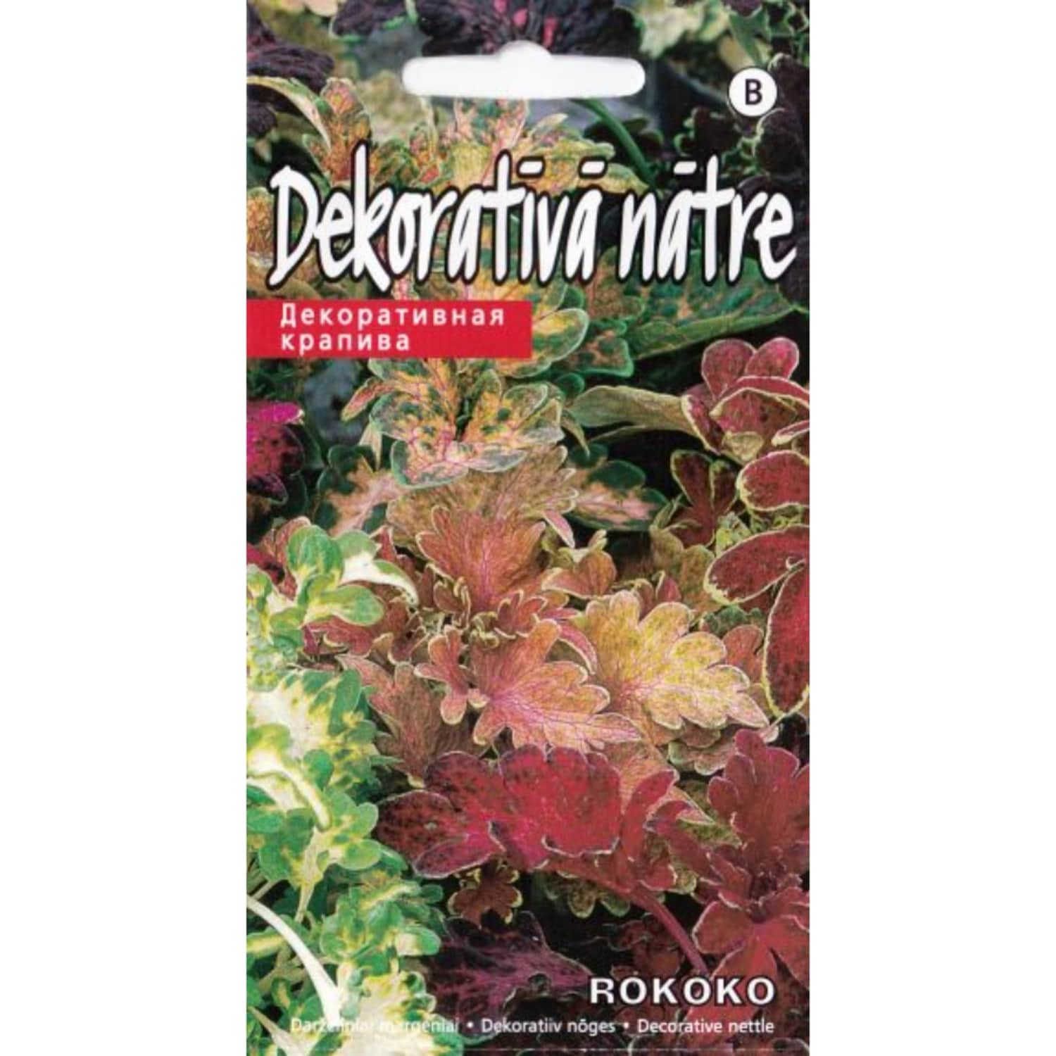 Nātre dekoratīva Rokoko Kurzemes sēklas