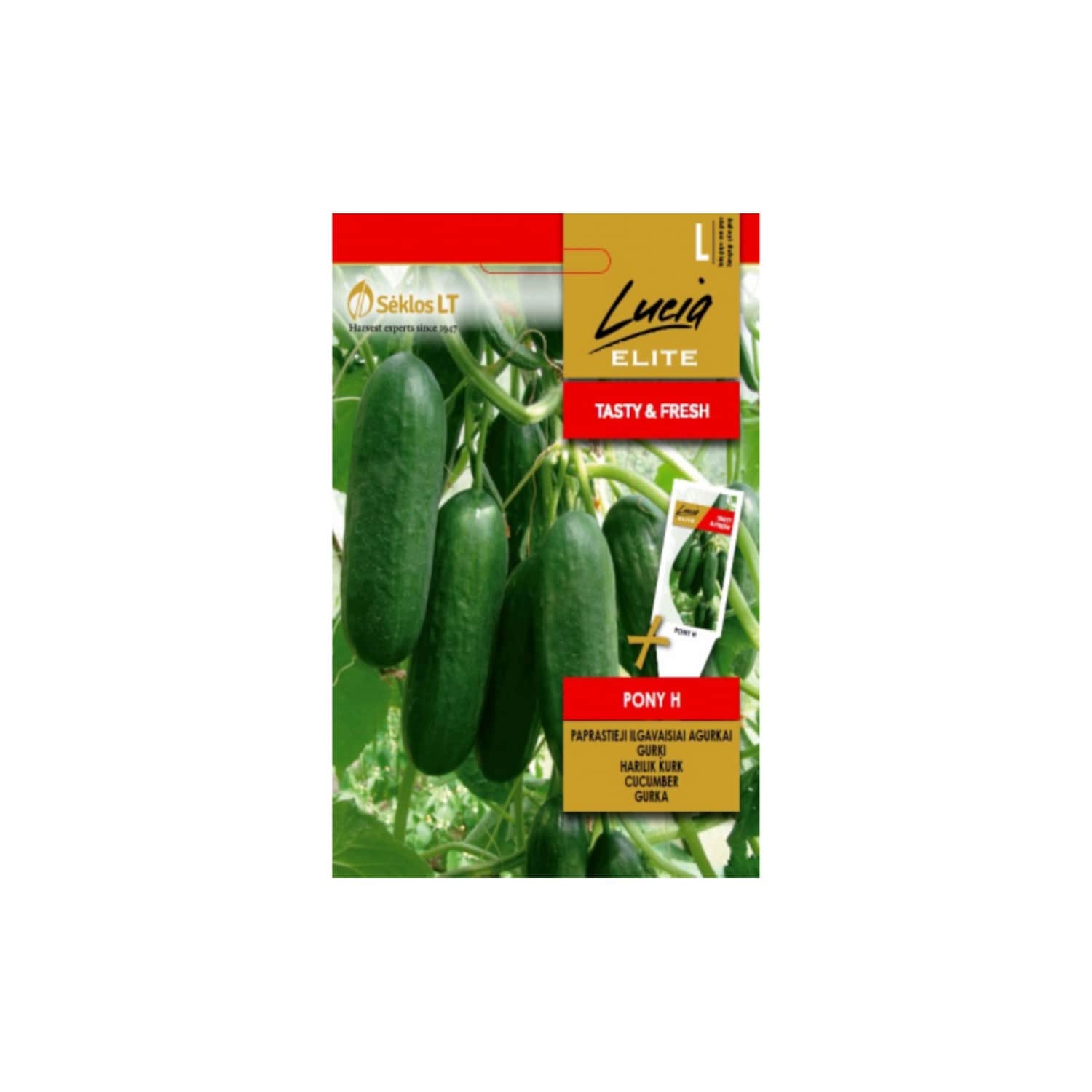 Sėklos LUCIA ELITE Agurkai trumpavais. Pony H