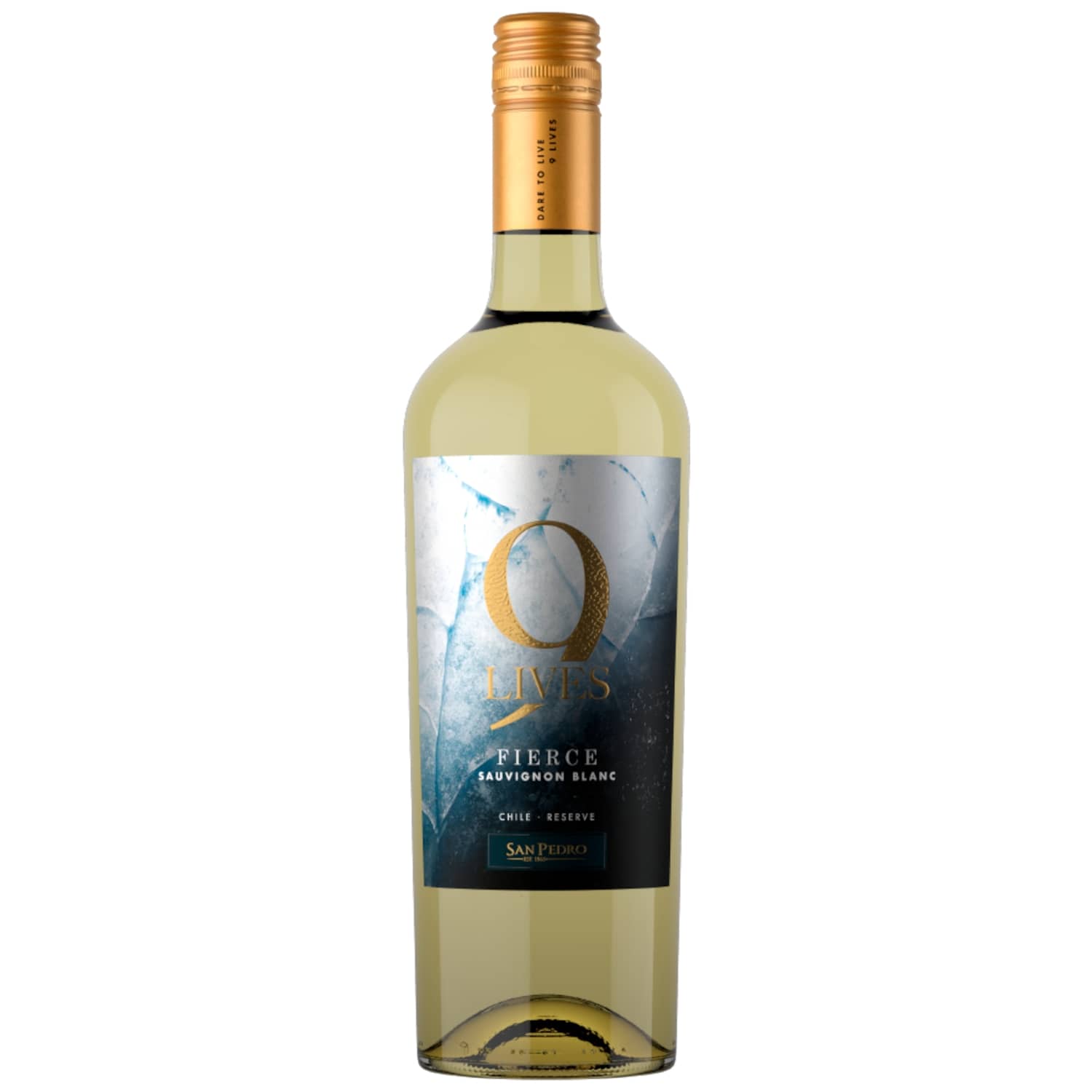 B.v. Gato 9 Lives Sauvignon Blanc 12% 0,75l