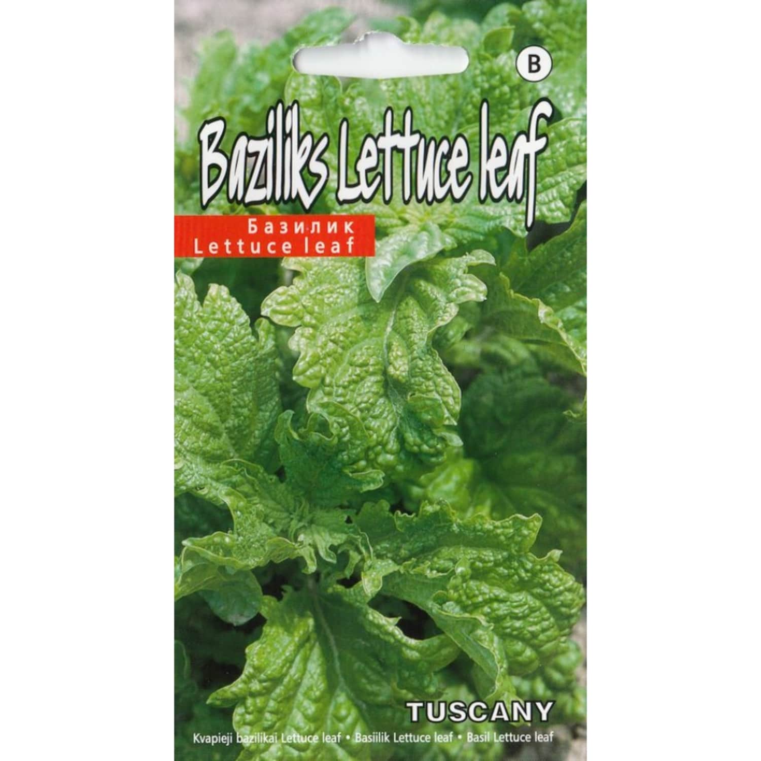 Baziliks Tuscany Kurzemes Sēklas