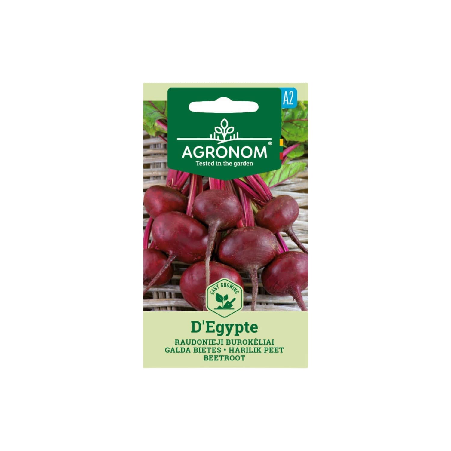 Harilik Peet D'Égypte