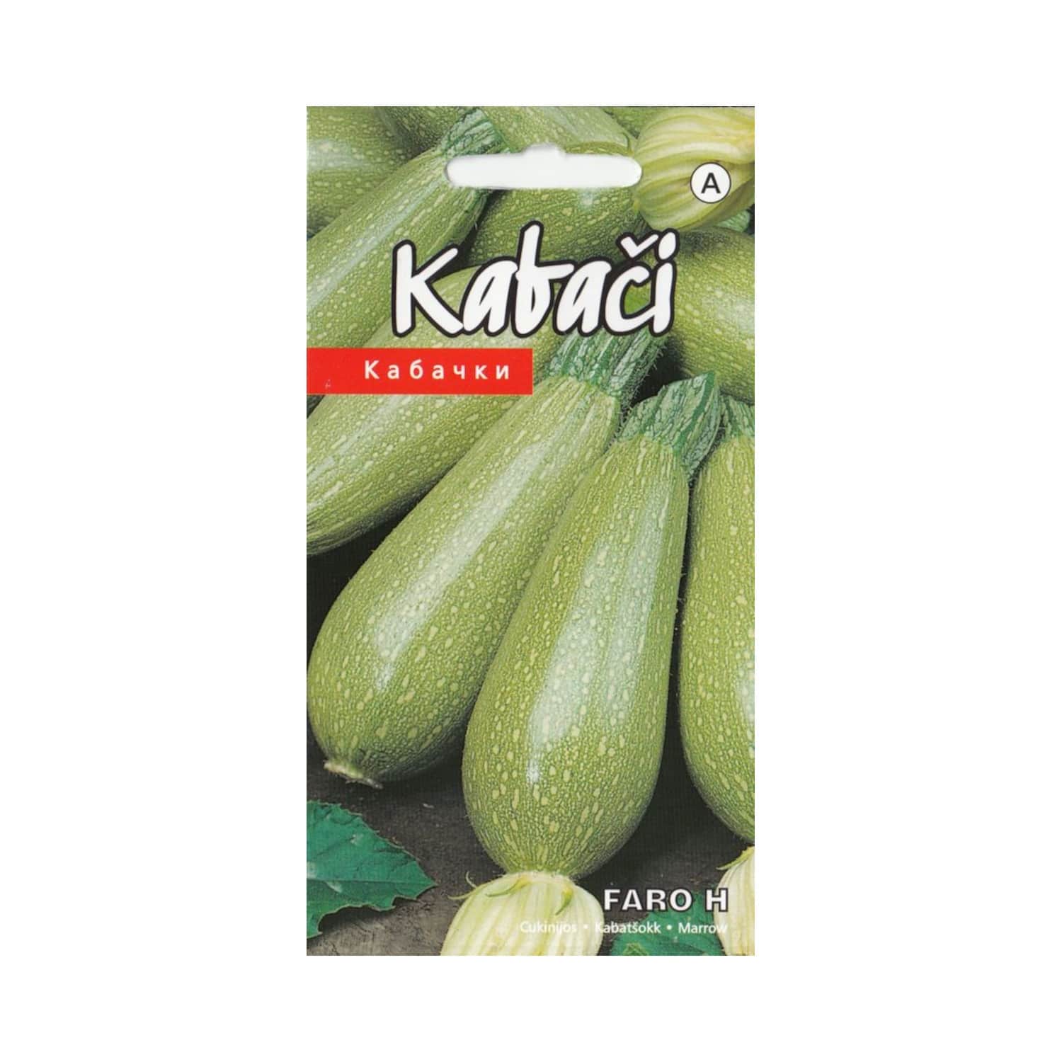 Kabači Faro H Kurzemes Sēklas